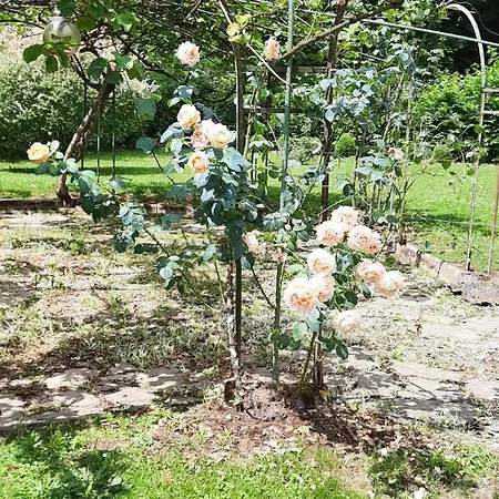 Hotel De La Roseraie Barbotan-les-Thermes