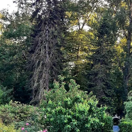 Hotel De La Roseraie Barbotan-les-Thermes