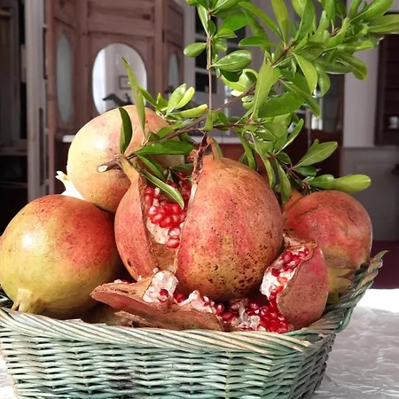 Hotel De La Roseraie Barbotan-les-Thermes