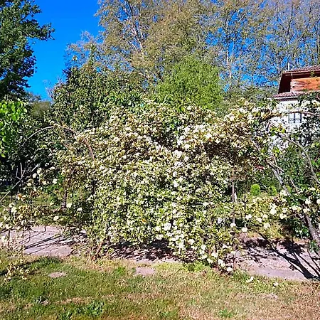 De La Roseraie Hotel Barbotan-les-Thermes