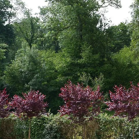 Hotel De La Roseraie 2*