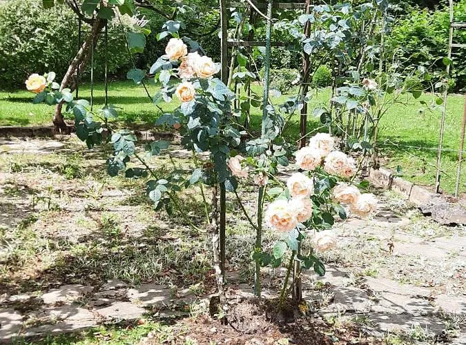 Hotell De La Roseraie Barbotan-les-Thermes