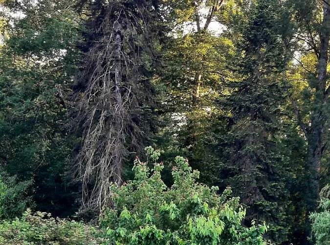 Hotell De La Roseraie Barbotan-les-Thermes