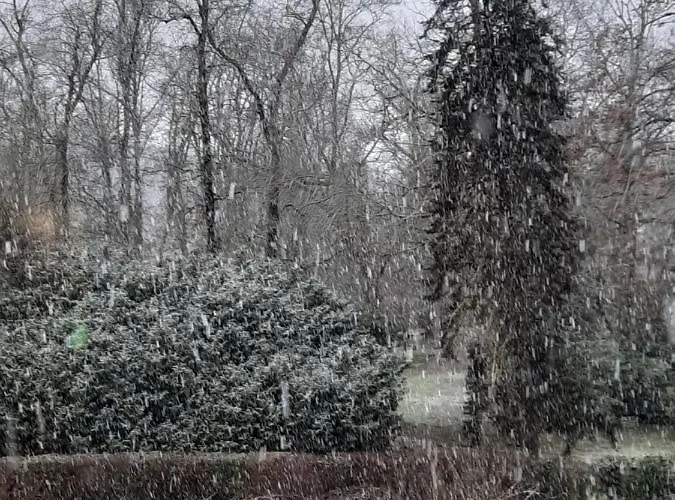 De La Roseraie 2* Barbotan-les-Thermes