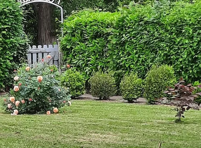 Hotell De La Roseraie 2*