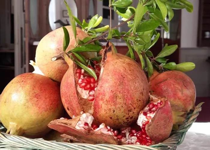 Hotell De La Roseraie Barbotan-les-Thermes