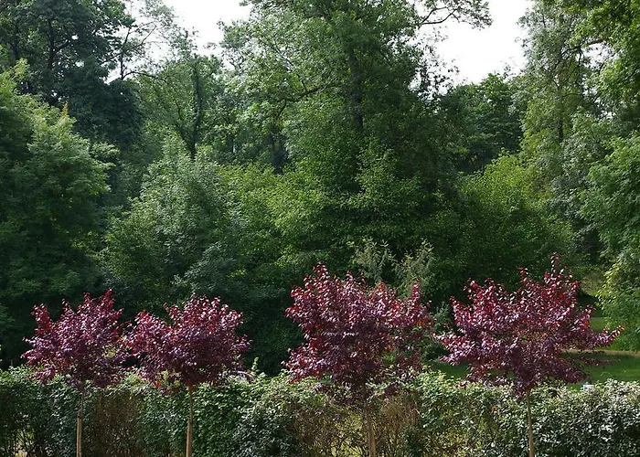 Hotell De La Roseraie 2*